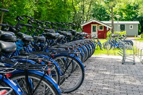 EuroParcs Het Amsterdamse Bos in Amstelveen — foto 4