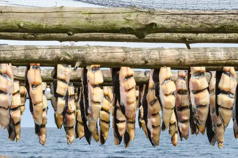 Land van Vuur en IJs in Complete rondreis IJsland — foto 14