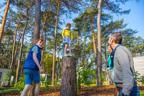 Vakantiepark Hoge Kempen foto 5