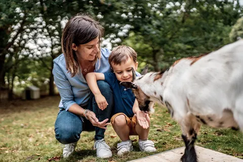 Camping De L Orangerie De Lanniron foto 3