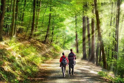 Havezathe Carpe Diem foto 19