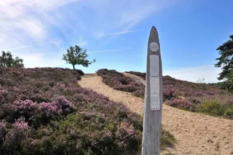 Camping de Binnenvaart foto 7