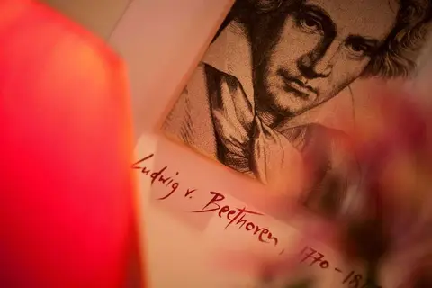 Der Wilhelmshof in Wenen, foto 30