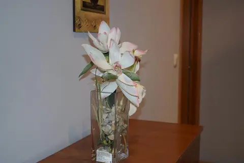 Apartamentos VIDA Versus in Sanxenxo — foto 10