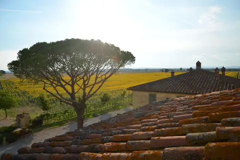 Le Terre dei Cavalieri Agriturismo in Cortona, foto 2