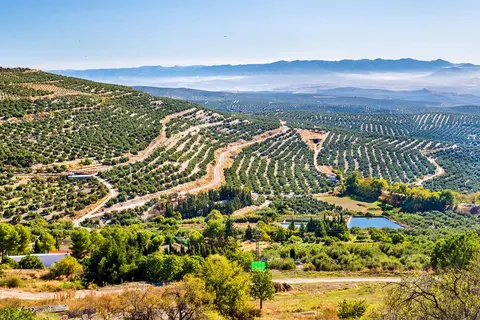 10 daagse fly drive Beleef Andalusië foto 3