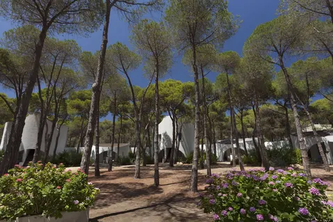 Hotel Mare Pineta in Pula — foto 19
