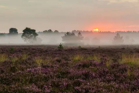 Van der Valk Hotel &ampapos;s-Hertogenbosch-Vught foto 29