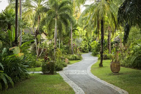 Robinson Club Khao Lak in คึกคัก — foto 29