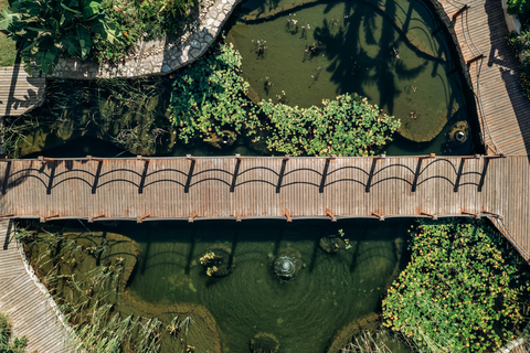 Hotel Paloma Pasha foto 20