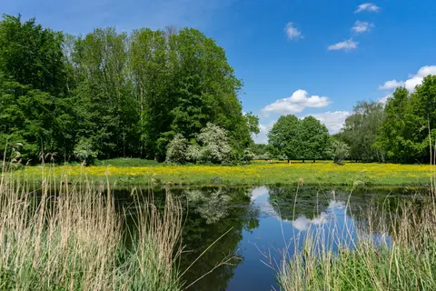 EuroParcs Het Amsterdamse Bos in Amstelveen — foto 24