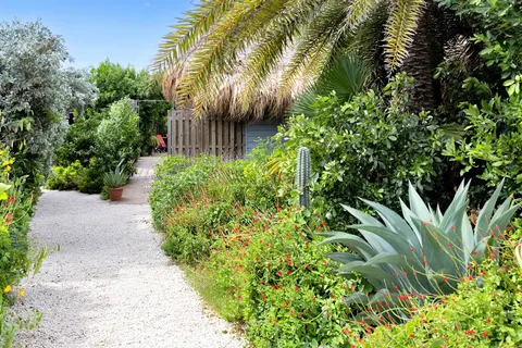 Red Palm Village foto 21