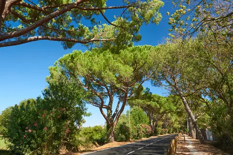 Camping Clau Mar Jo foto 20