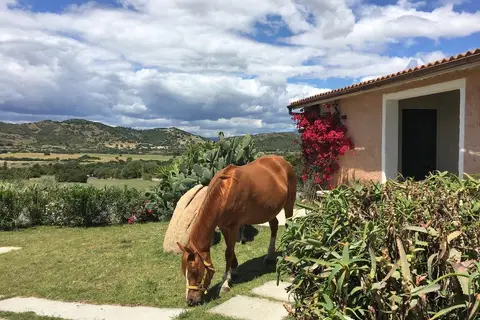 Borgo di Campagna in Poltu San Pàulu/Porto San Paolo, foto 29