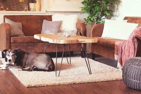 Hotel Mein Bergblick foto 21