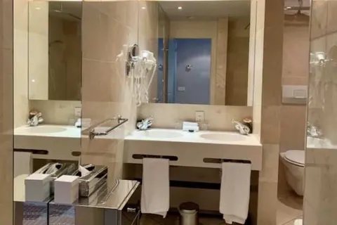 Derlon Hotel Maastricht foto 7