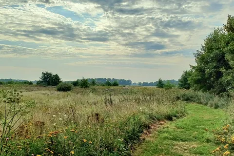 Camping Hunze Bulten foto 4