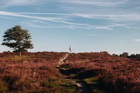 Fietsvakantie rondje Drenthe foto 12