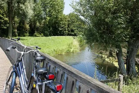 Carlton Oasis foto 29