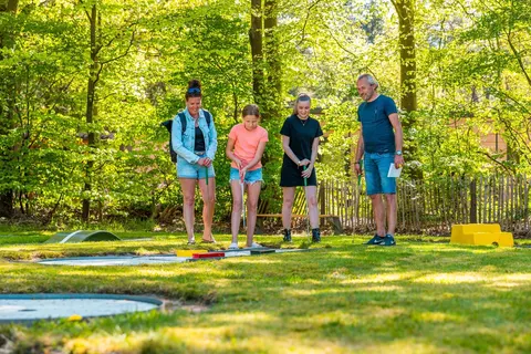 Vakantiepark De Wiltzangh foto 12