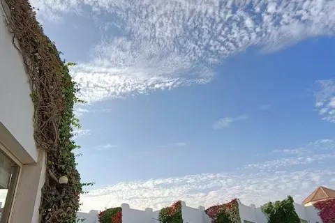 Eden Rock Hotel in Sharm El Sheikh — foto 17