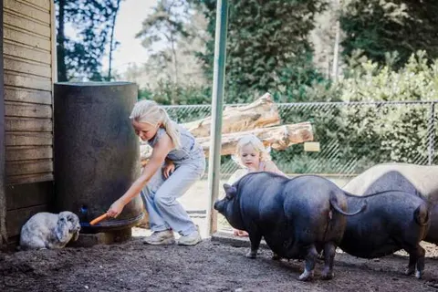 Camping Siësta foto 17