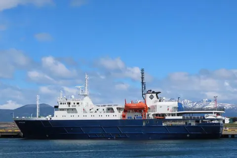 A taste of Antarctica foto 1