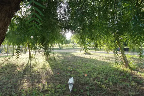 Camping Lilybeo Village in Marsala, foto 3