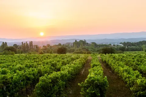 Ontdek de Ardèche vanuit Grospierres in Grospierres — foto 16