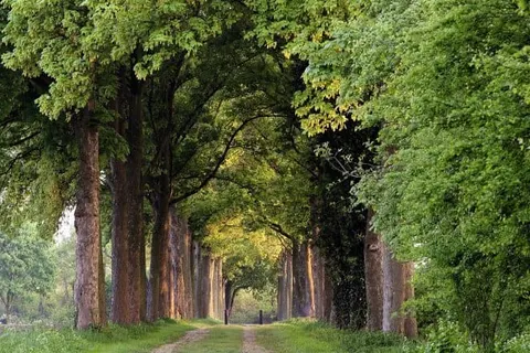 Bilderberg Château Holtmühle foto 21