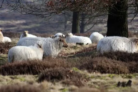 De Oringer Marke & Stee Hotels by Flow foto 24