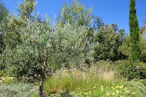 Vallée de la St. Baume foto 13