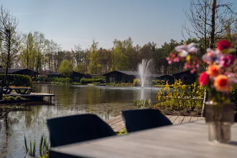 Molenvelden in Veldhoven — foto 10