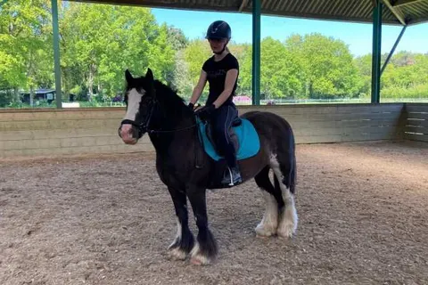 Vakantieoord de Bronzen Emmer foto 14