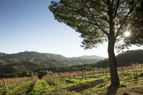 Relais Abbazia Santa Anastasia in Castelbuono — foto 12