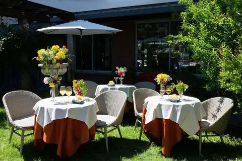 Sunflower in Milaan, foto 10