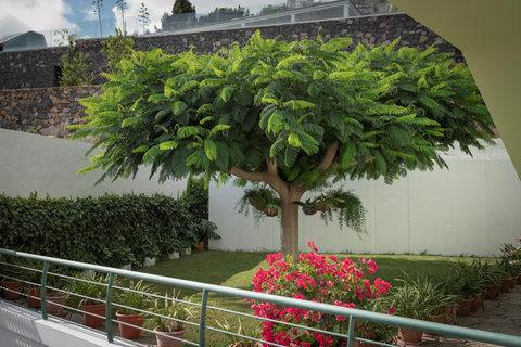 Casa Azano - inclusief huurauto foto 12