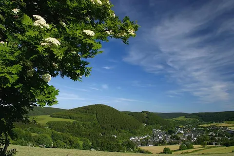 Waldhotel Willingen in Willingen (Upland) — foto 2