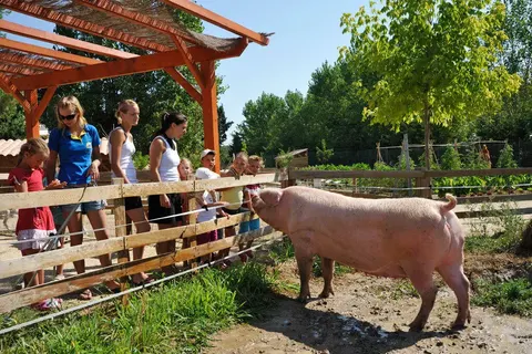 Camping Domaine La Yole foto 6