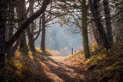 Badhotel Rockanje aan Zee foto 40