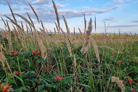 Camping Ajstrup Strand - Aarhus in Norsminde — foto 21