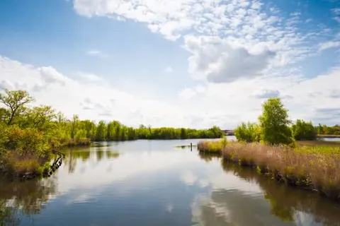 Amsterdam Hotel Uithoorn foto 30