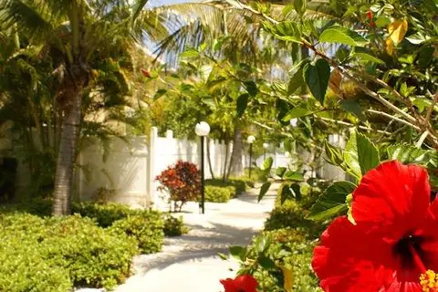 Barefoot Beach Resort in Indian Shores — foto 12