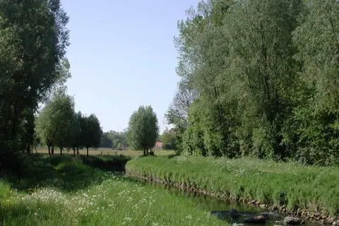 Kasteel Doenrade in Doenrade — foto 16