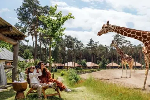 Safari Resort Beekse Bergen foto 1