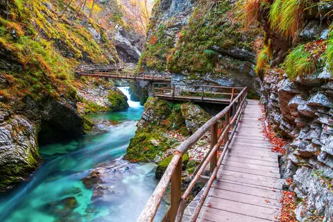Ontdek de Julische Alpen en Bled vanuit Bohinjska Bistrica in Bohinjska Bistrica — foto 5
