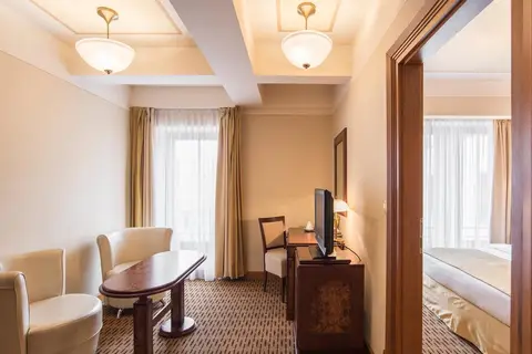 Hotel Majestic Plaza in Praag, foto 14