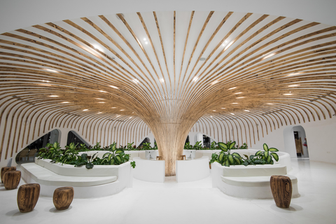 Hotel Meraki Resort - adults only foto 15