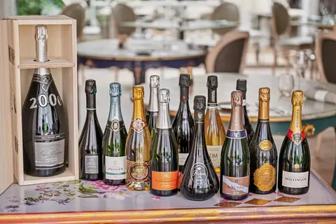 Du Mont Aimé & Des Dames de Champagne in Bergères-lès-Vertus — foto 5