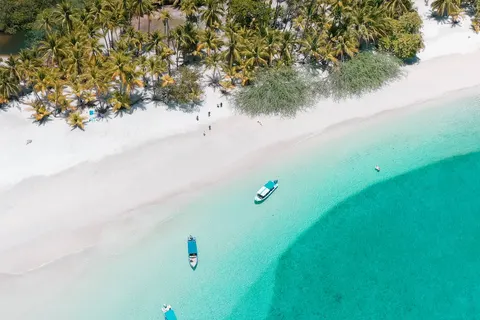 Discover Tropical Panama in Al Alma